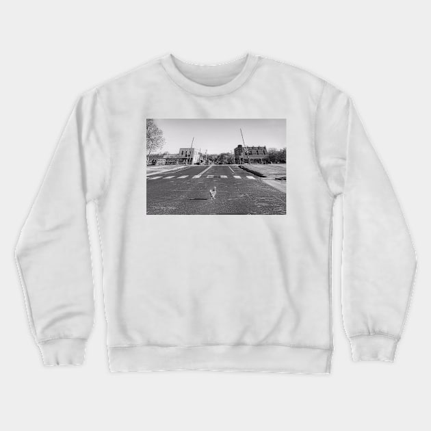 Why Did The Chicken Cross The Road.... - Black And White Crewneck Sweatshirt by davidbstudios